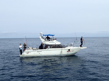 PA081621