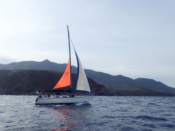 P5035466