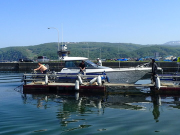 P5200062