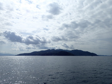 P9166279