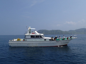 P8024520