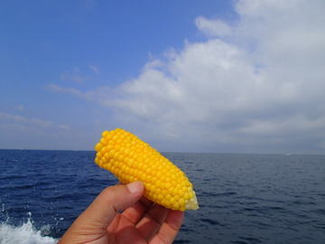 P8034610
