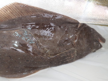 P5210135