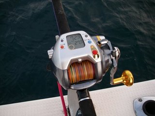 IMGP7941