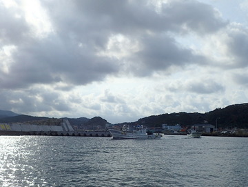 P9176352