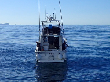 PA071493