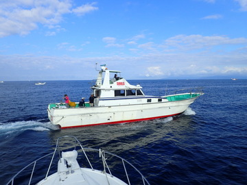 P9166240