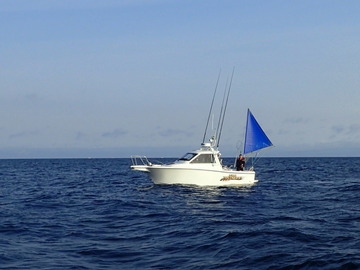 PA081607