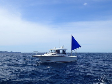 P9023326