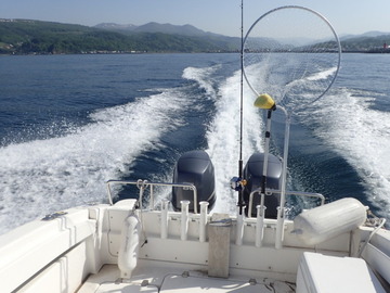 P5200071