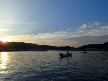 P9186519