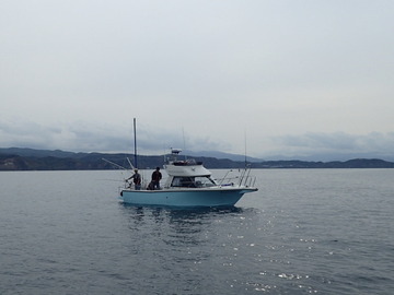 PA081636