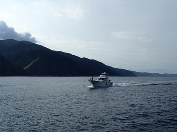 P9166234