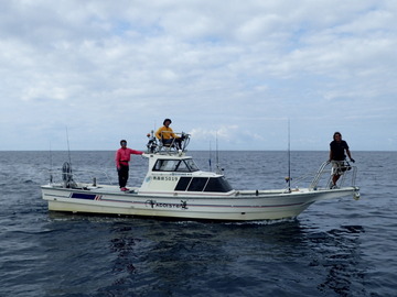 P9166249