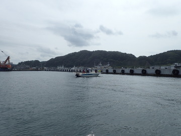 P9176383