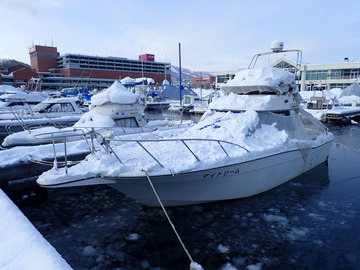 P2164977