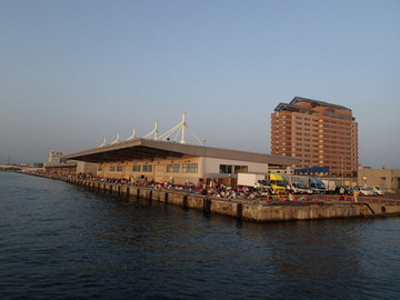 P8014350