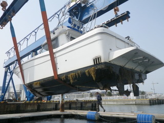 IMGP5818