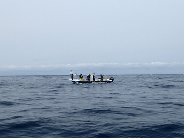PA081626