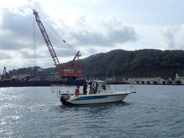 P9176380