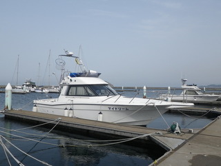 IMGP5808