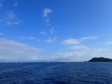 P9166243