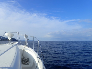 P9166232