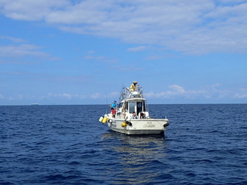 P9166259