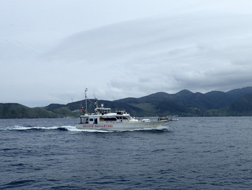 P9176392
