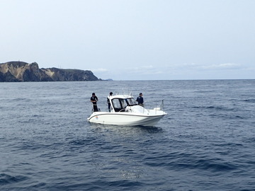 PA081625