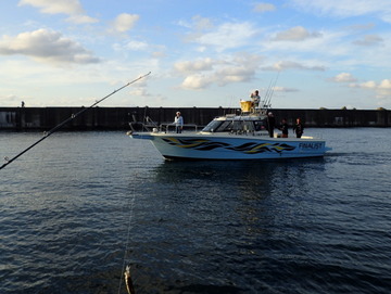 P9166314