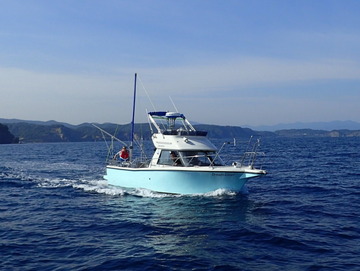 P9153392