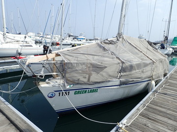 P4169631