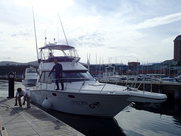 PA071438
