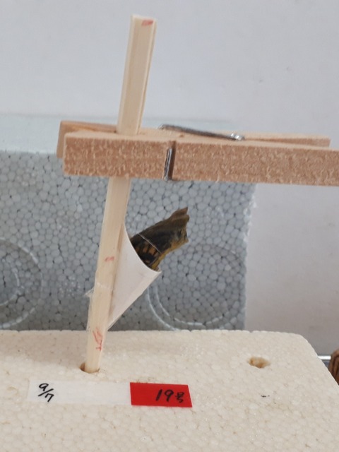 20180924_094522