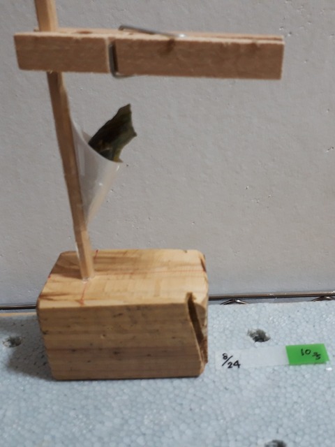 20180905_084754