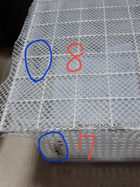 15376182223982