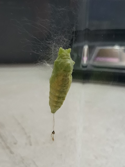 20180925_205846