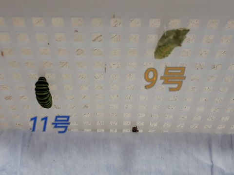 20180824_104450