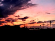 IMG_4106