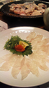 �դ�