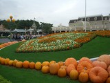 Disney land