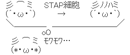 hage_stap
