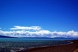 bd2205d8.jpg