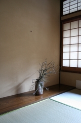白梅‐2