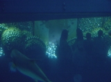 À¸¤±¿ÍÃΤ餺-5