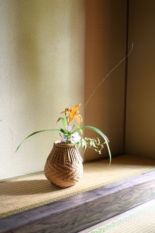 kanzo 016
