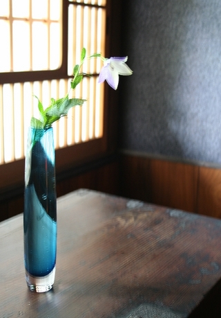 kikyo-
