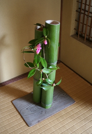 tarokajya^