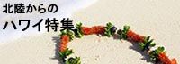 hawaiitokusyu